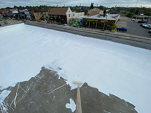 Roof Coating1